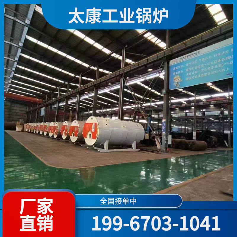 衡水沼气锅炉